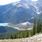On the way to Burgess Shale
 /     